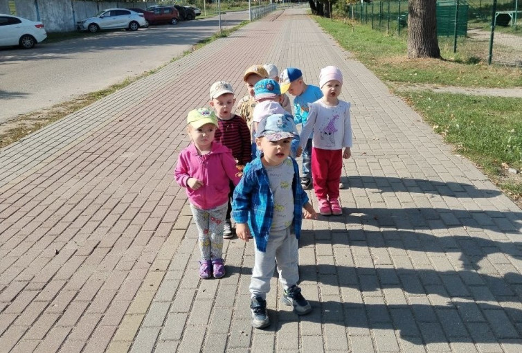 Осенняя прогулка Осенняя прогулка.